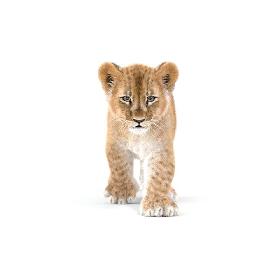 Baby Lion Animated Fur 3D model
